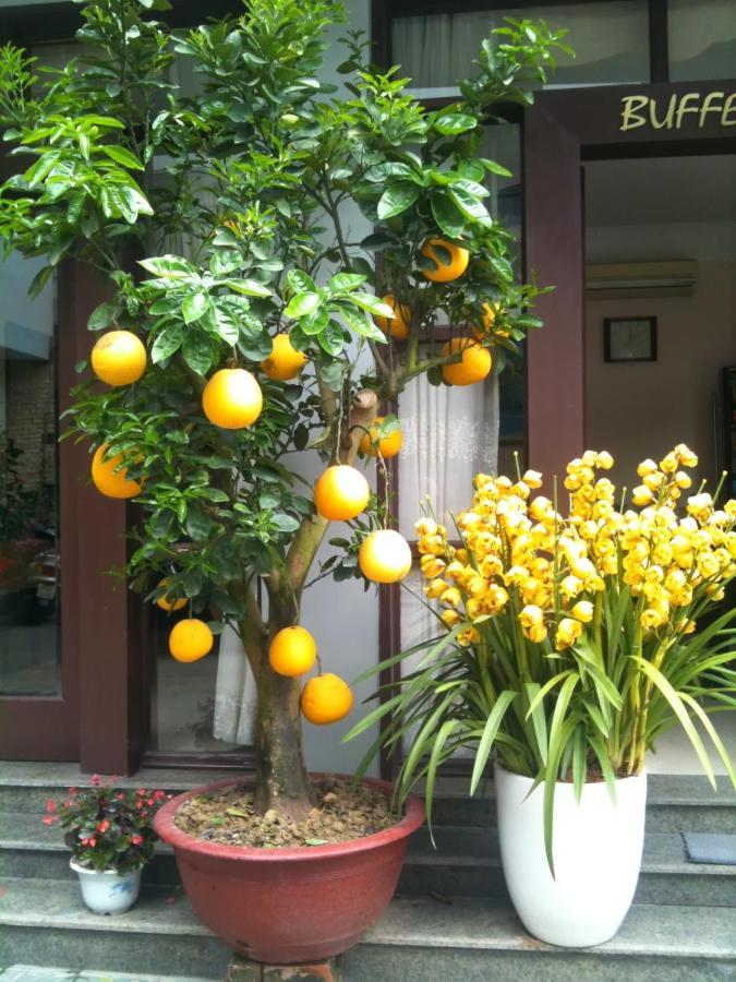 Thien Anh Hotel Hai Phong Esterno foto