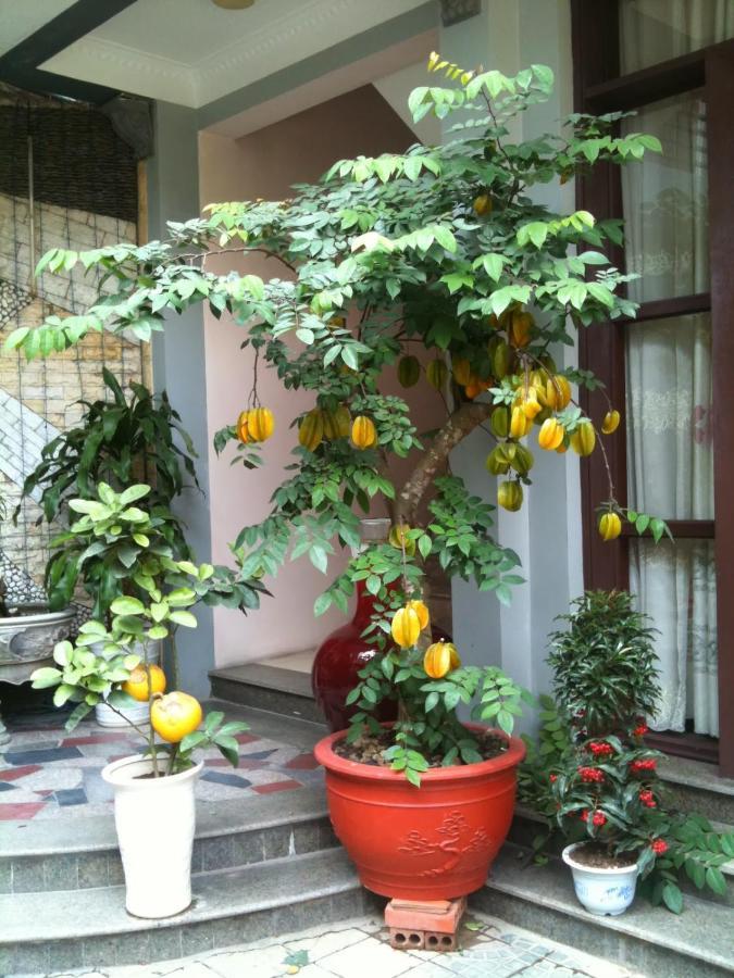 Thien Anh Hotel Hai Phong Esterno foto